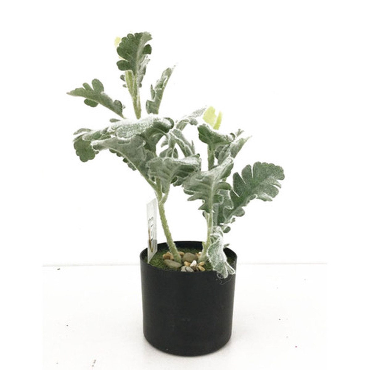 12" Potted Green and Black Artificial Fructus Forsythia Plant