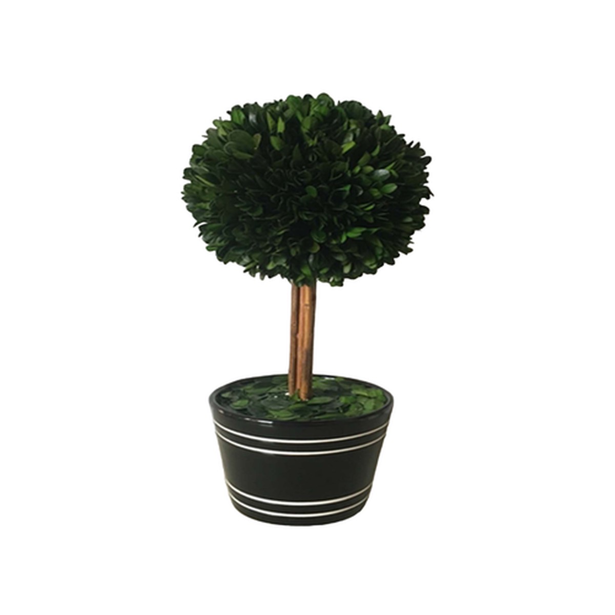 14" Potted Boxwood Ball Topiary Tree