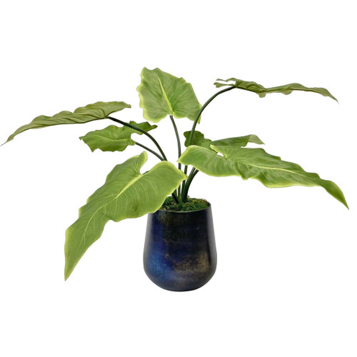 Variegated Calla Lily Foliage Artificial Plant - 24" - Green