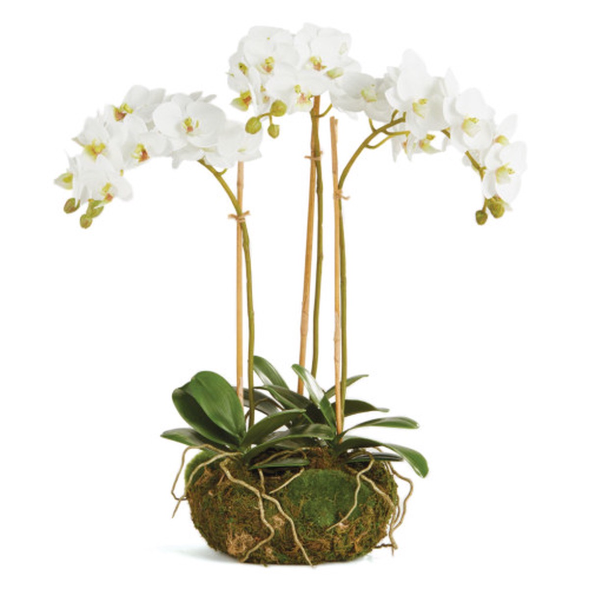 16" White and Green Artificial Phalaenopsis Mini Plant