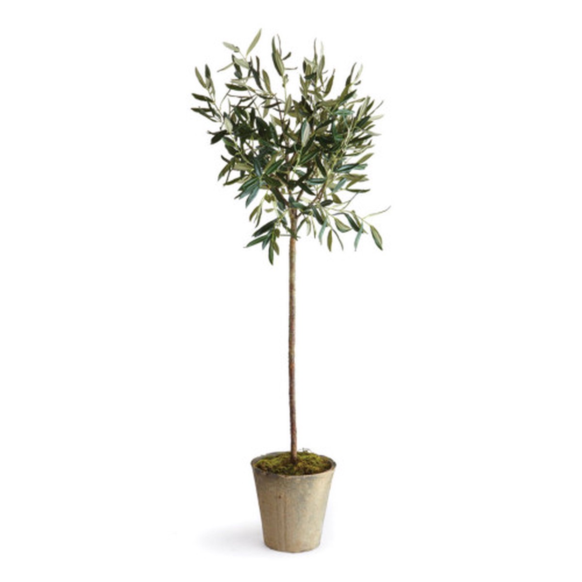 Olive Tree Artificial Drop-In with Pot - 46" - Green and Brown