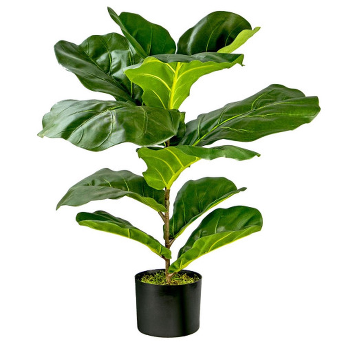 30" Green and Black Fiddle Leaf Fig Artificial Bush in Pot