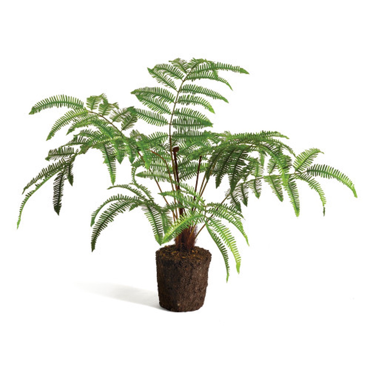 Forest Fern Plant Drop-In - 38.5" - Green and Brown