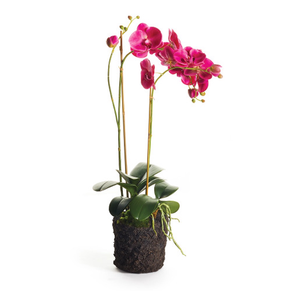 Phalaenopsis Floral Drop-In - 15" - Pink and Green