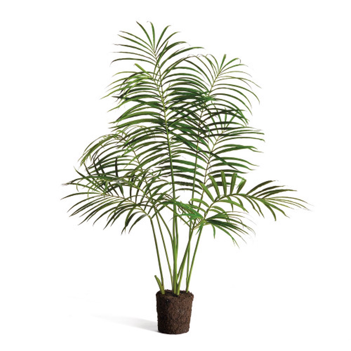 27" Green and Brown Realistic and Well-Crafted Palm Tree Drop-in 50-Inch