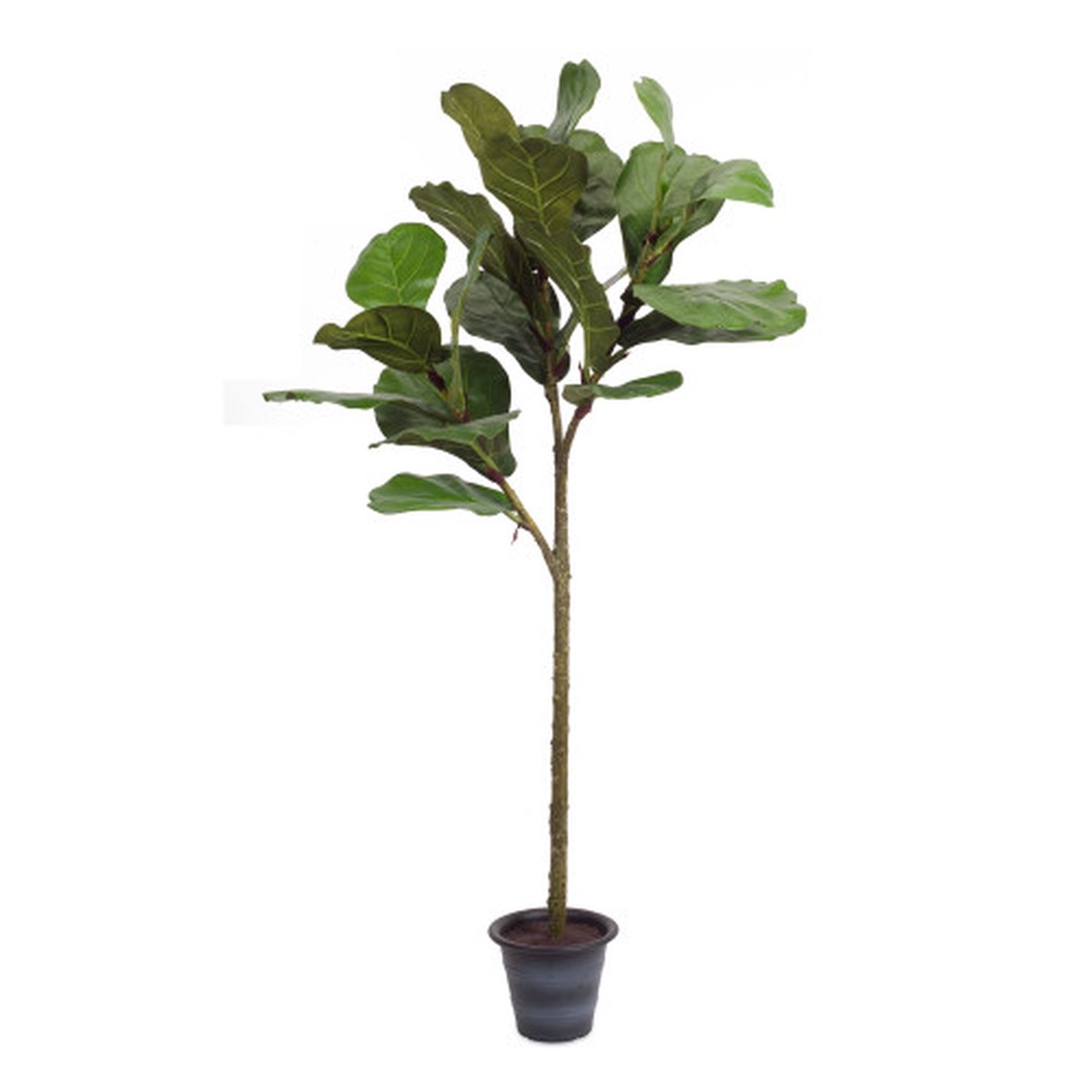 4 Potted Artificial Fiddle Leaf Fig