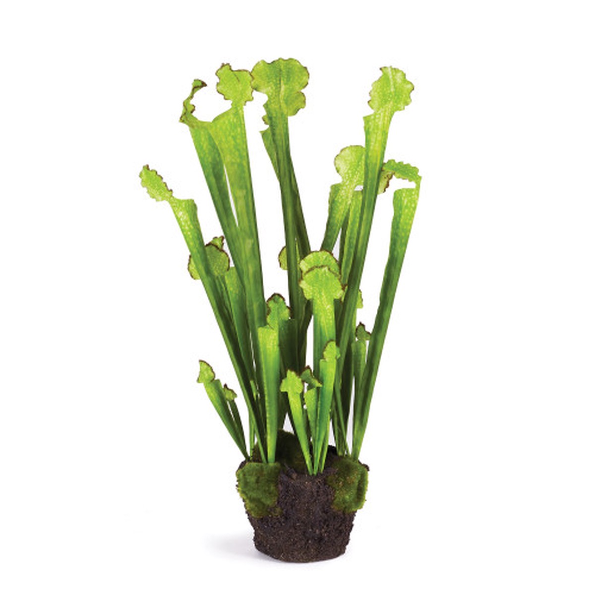 25" Yellow Green and Brown Realistic Polyester Sarracenia Drop-In 21-Inch