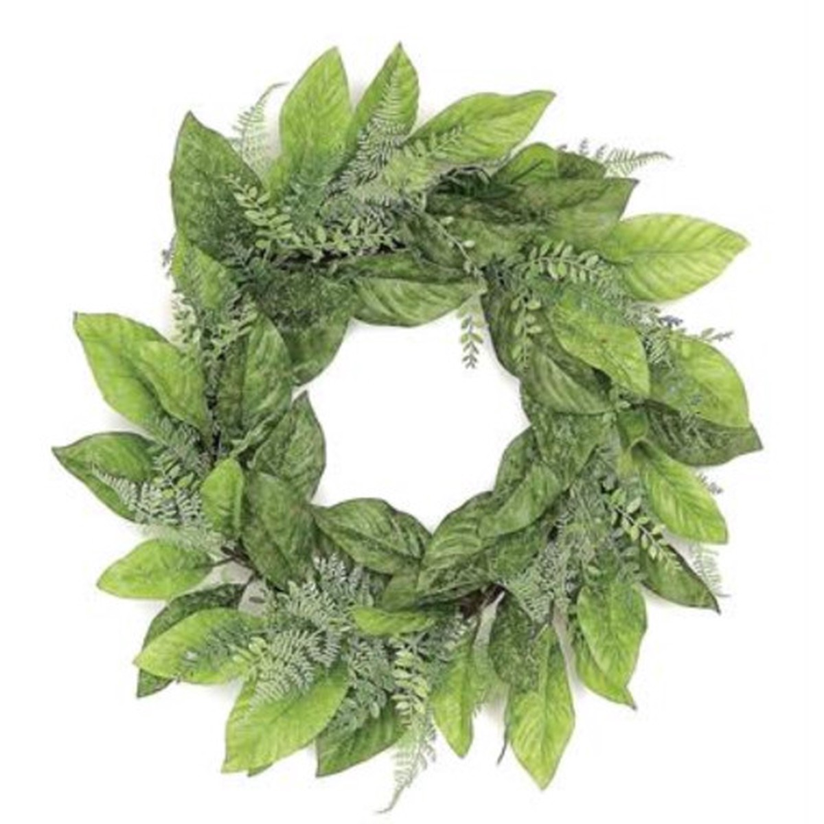 Magnolia Foliage, Ferns and Tea Leaves Artificial Spring Wreath, Green 24-Inch