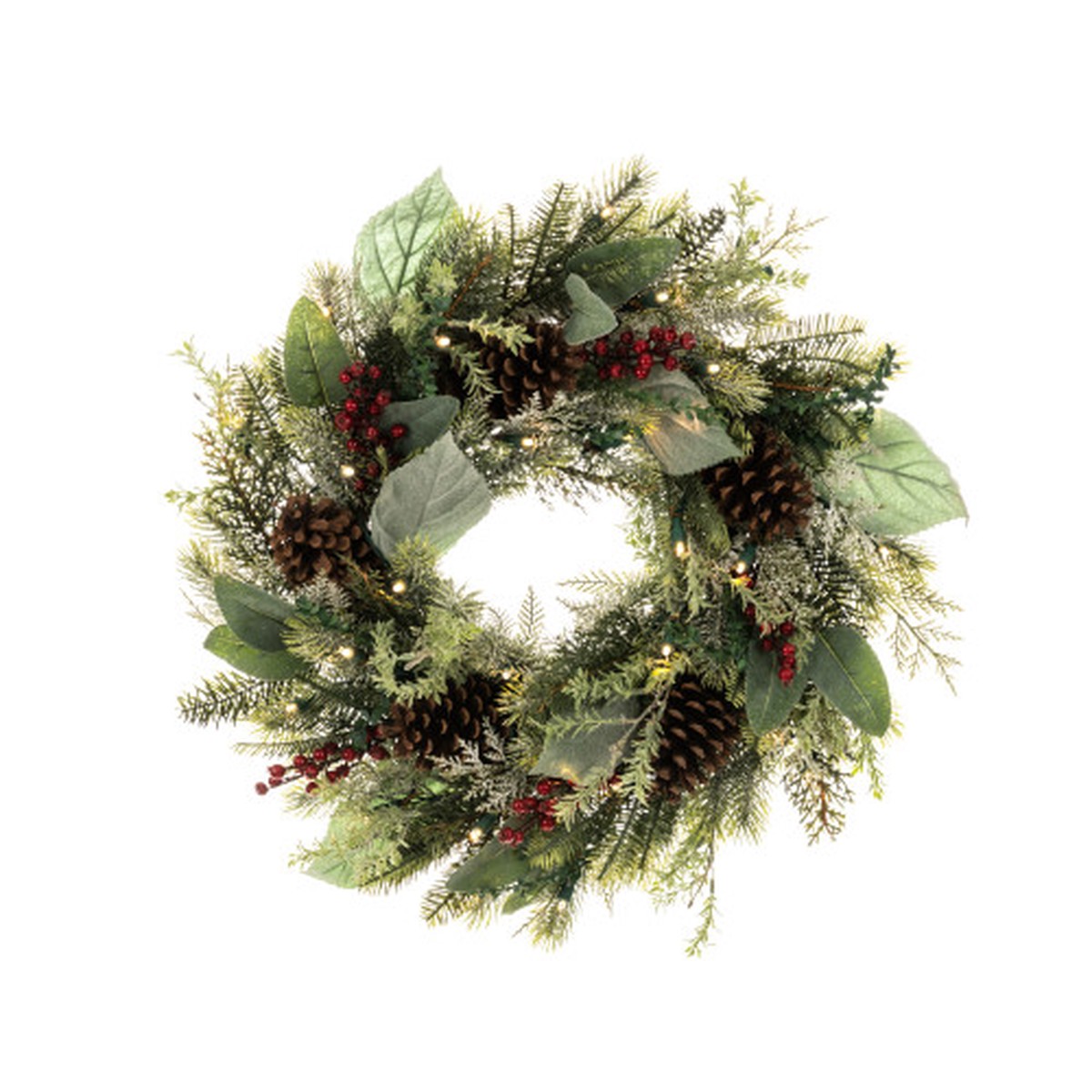 Pre-Lit Green and Red Winter Frost Artificial Christmas Wreath, 24-Inch, Clear LED Lights