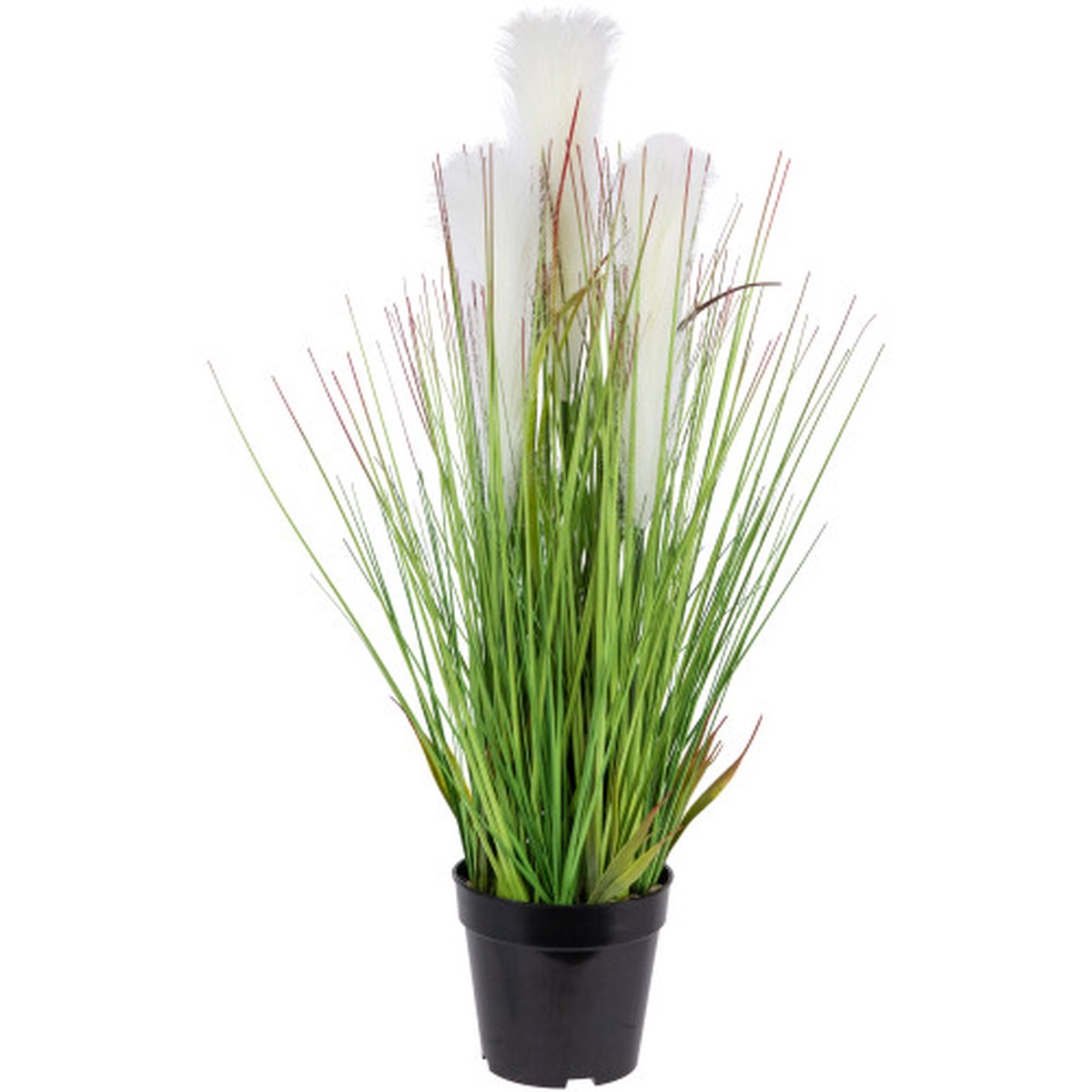 27" Artificial Onion and Pampas Grass in Black Pot