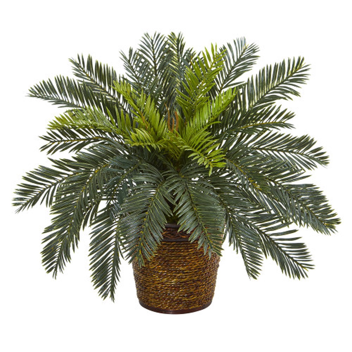 15″ Artificial Cycas Plant in Basket