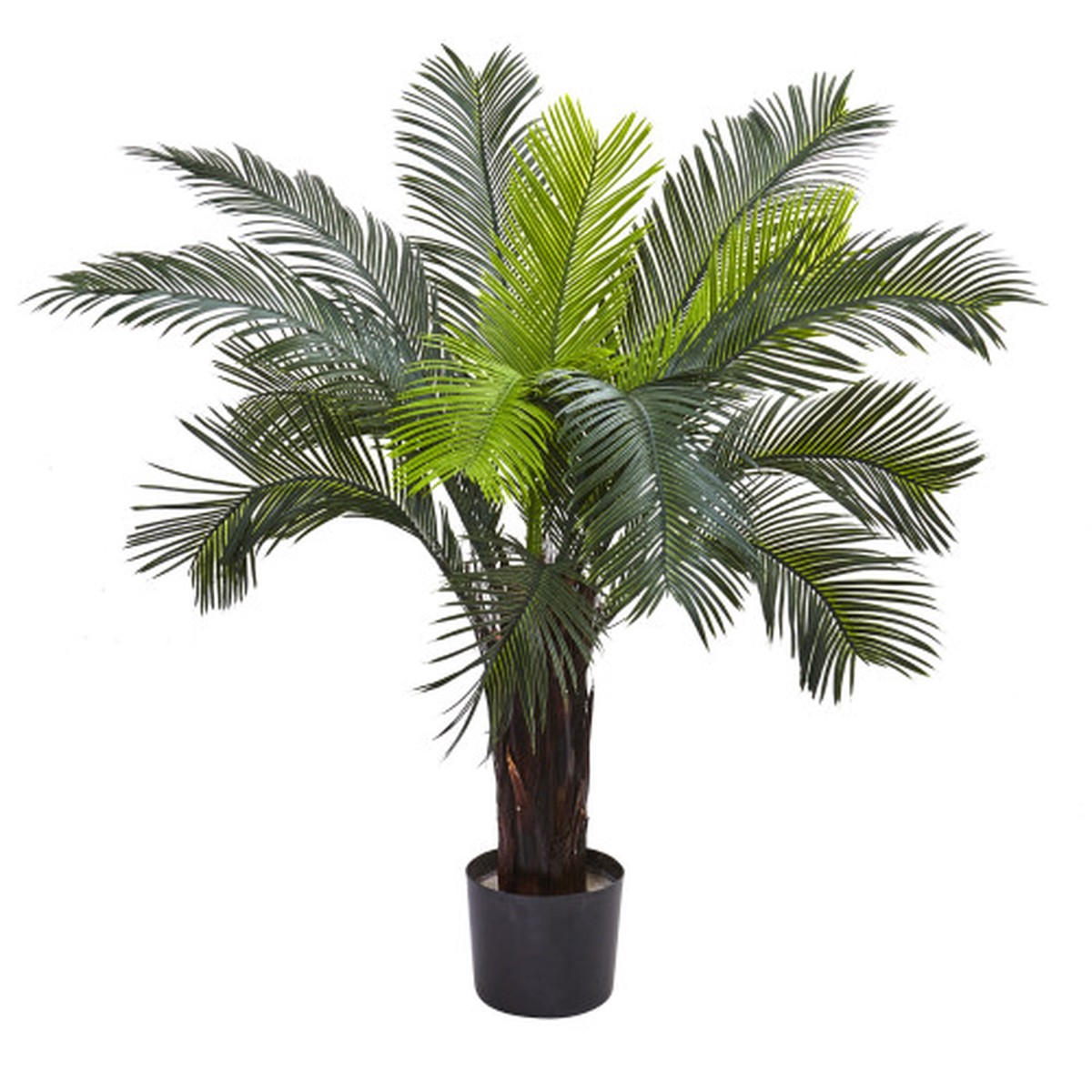 3′ Artificial Cycas Tree with Black Pot