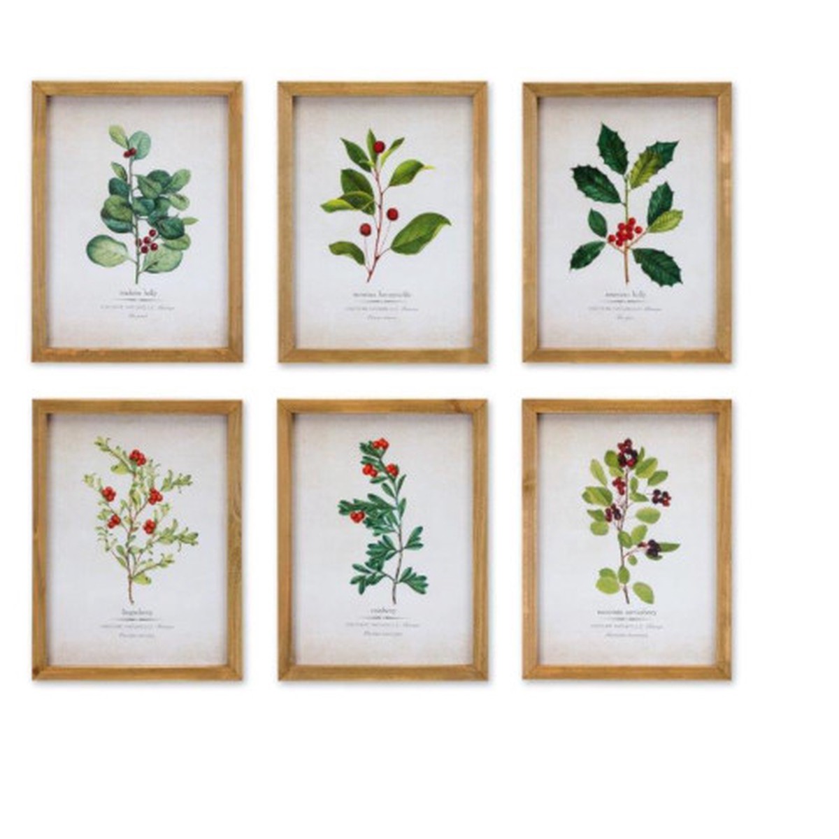 Winter Foliage Rectangular Framed Wall Art – 14.25″ – Brown and White – Set of 6