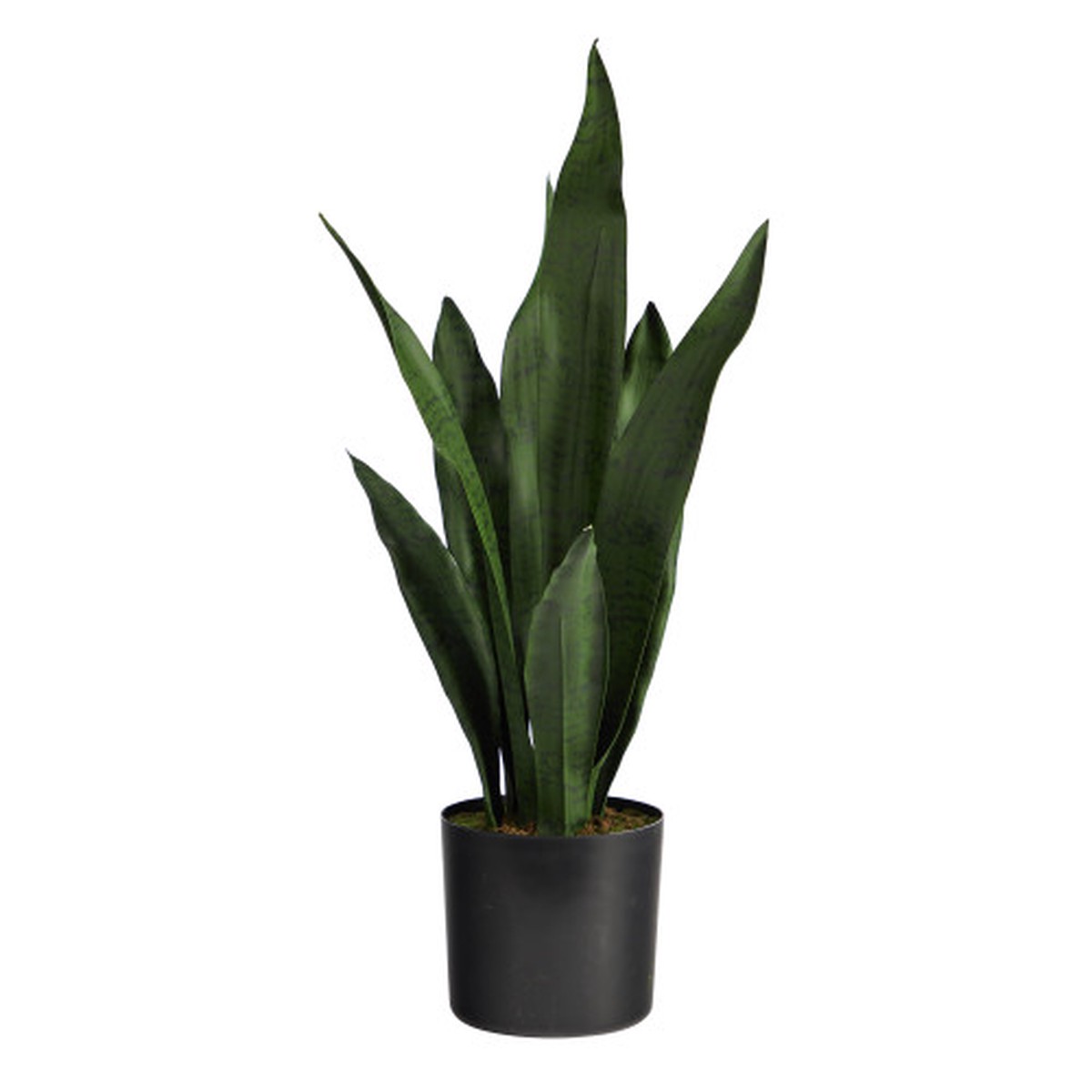 1.75′ Sansevieria Artificial Potted Plant