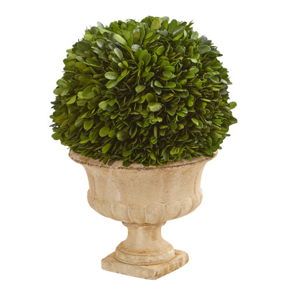 12″ Artificial Boxwood Topiary Ball Preserved Plant in Decorative Urn
