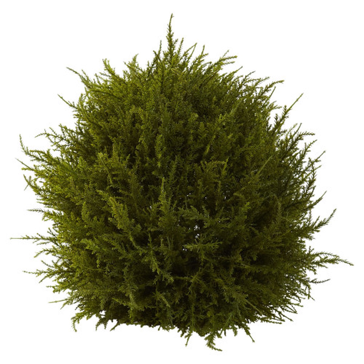 14″ Cedar Decorative Sphere Topiary Artificial Tree