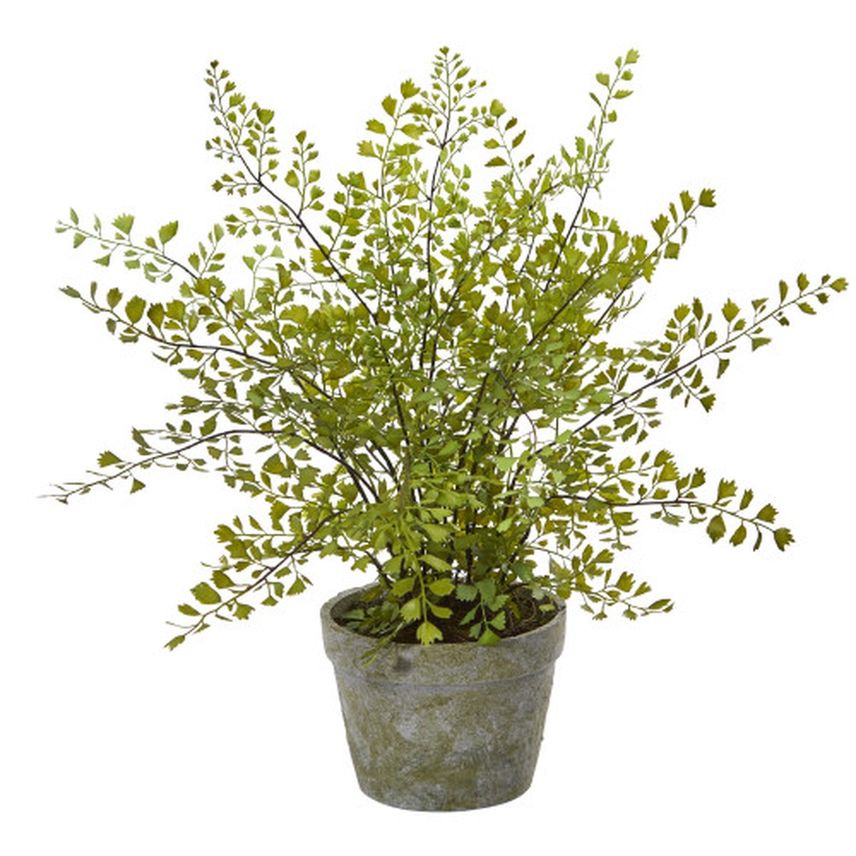 16″ Artificial Maiden Hair Plant in Decorative Planter