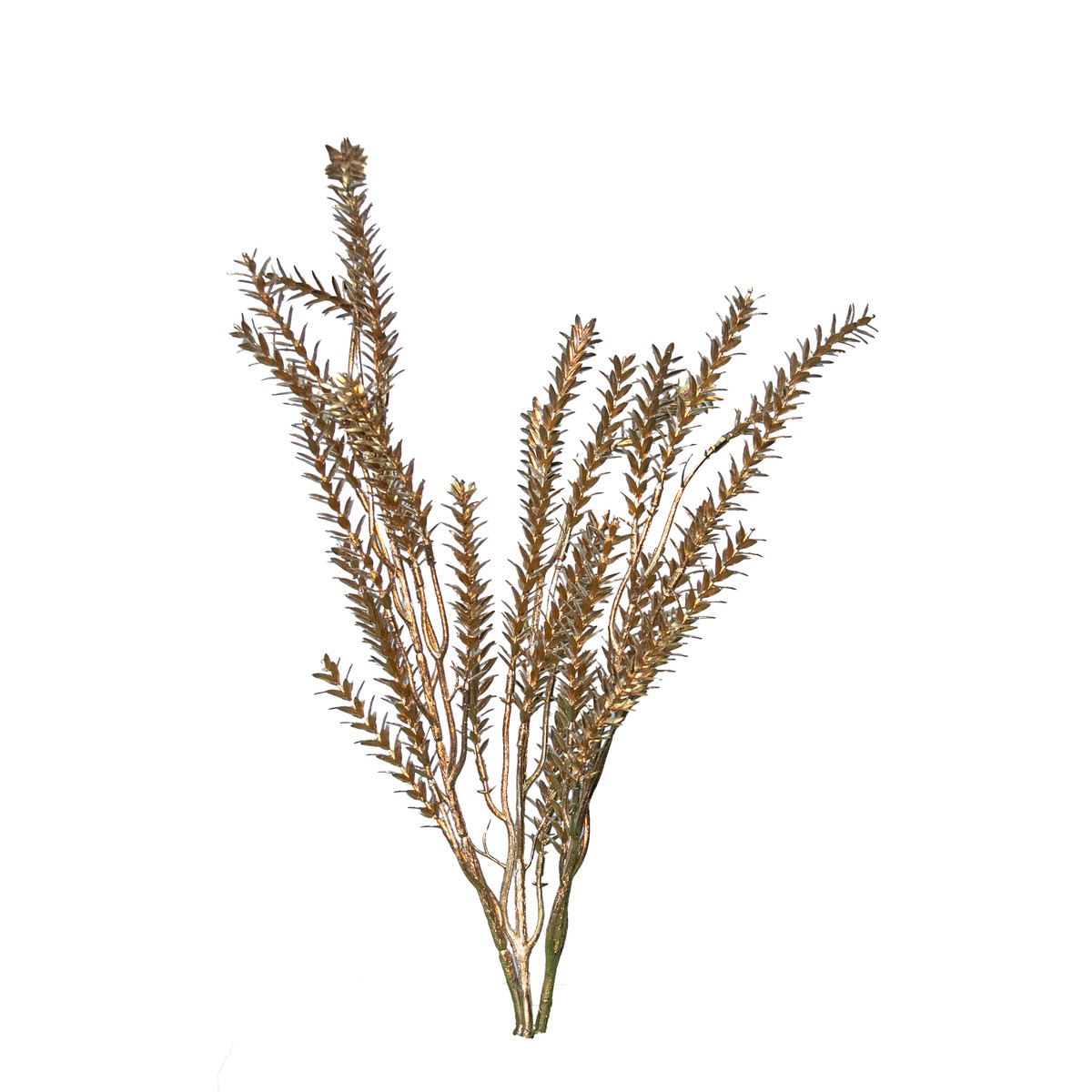 Metallic Pine Bush Gold, 16.5