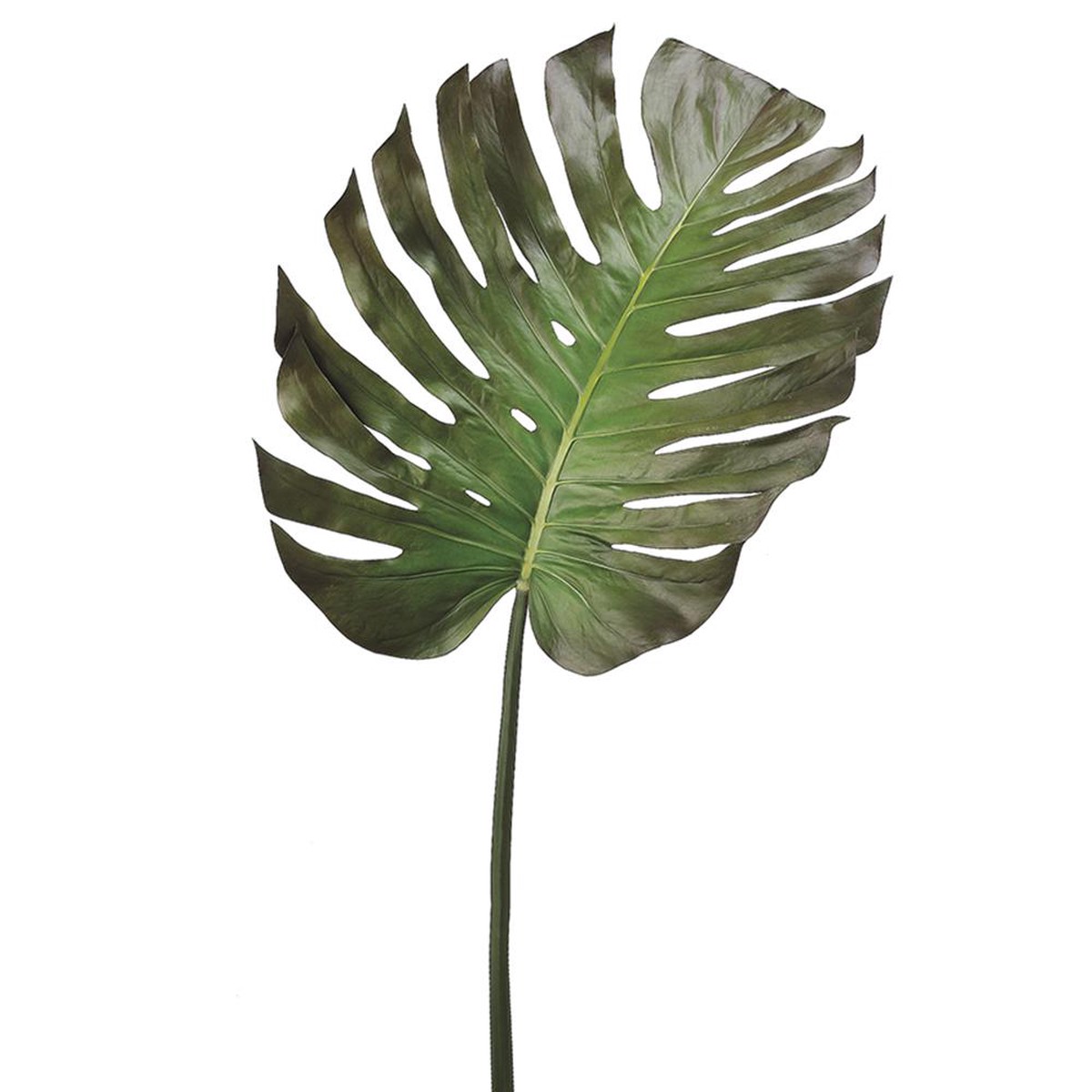 Monstera Leaf Spray, 55" (Green Brown)
