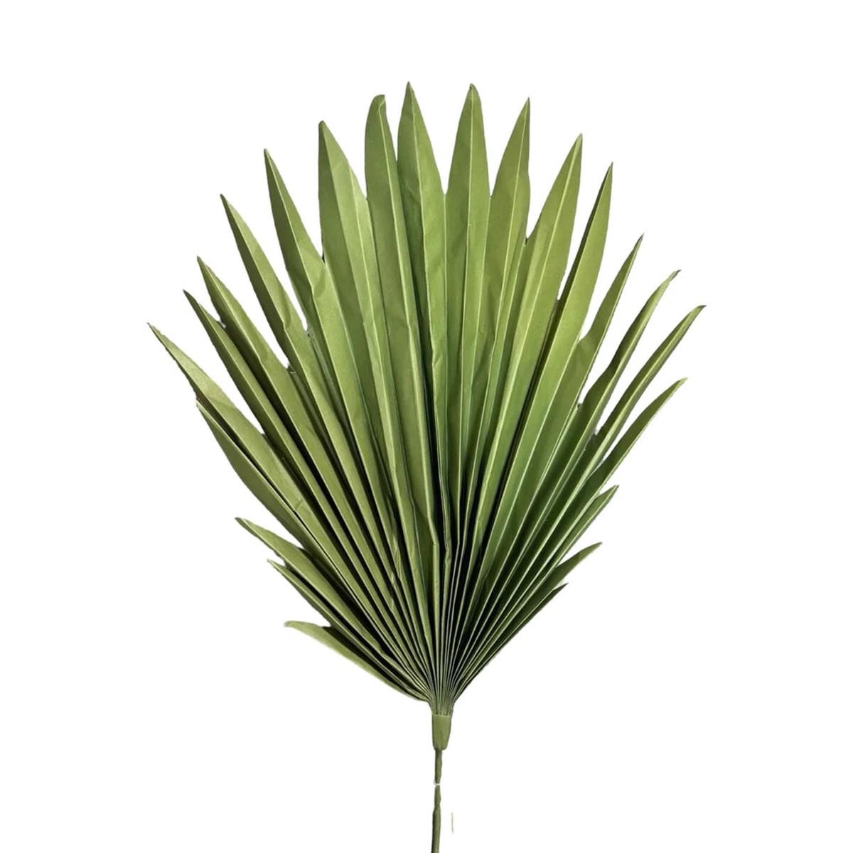 Palm Fan, 40" (Green)