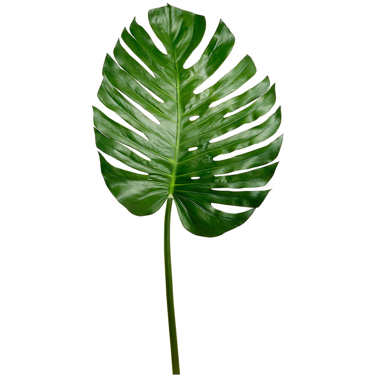 Silk Split Philodendron Monstera Leaf Stem, 55" (Green)