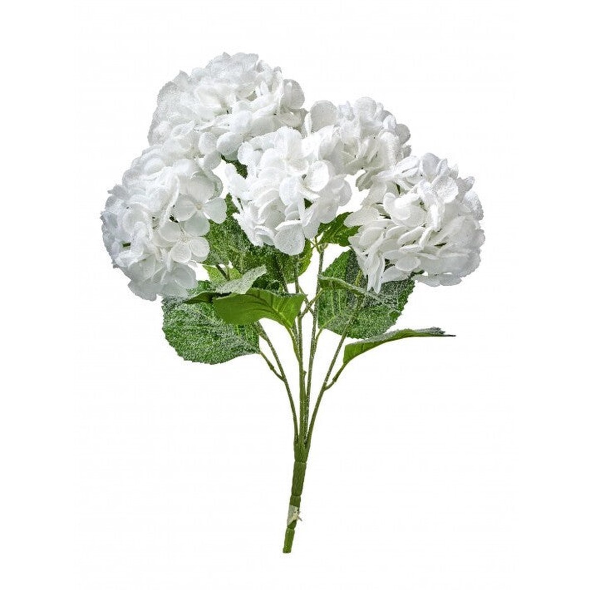 Snow Hydragnea x5 Bush, 23″ (White Snow)