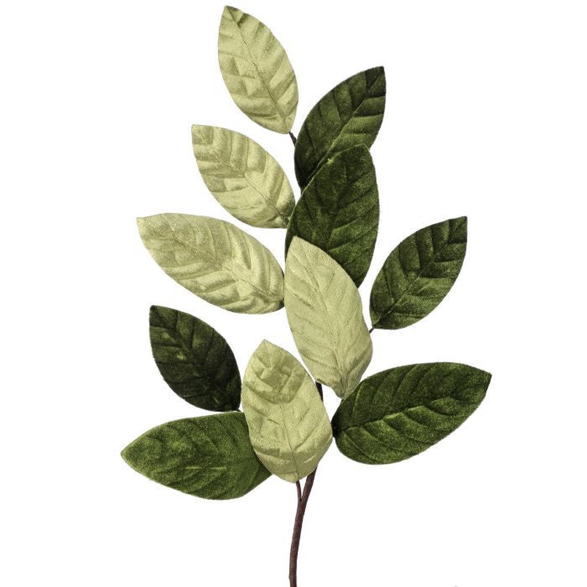 Velvet Magnolia Leaf Spray, 26″ (Green)