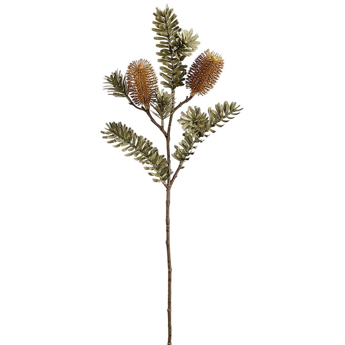 Banksia Spray, 26″ (Brown)
