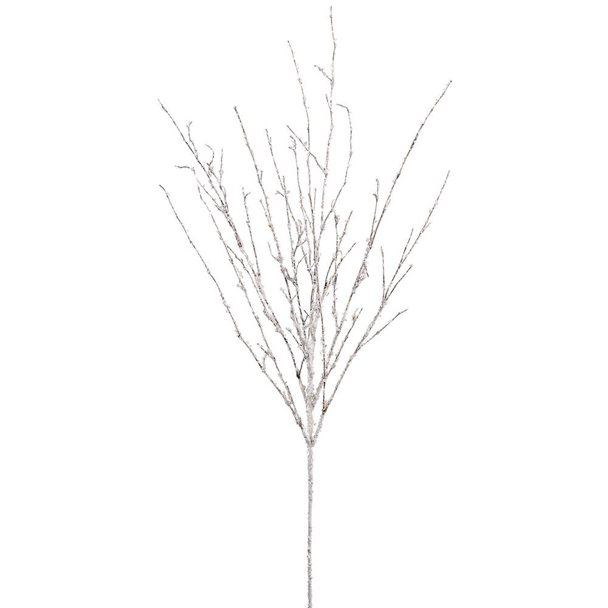 Beaded Spray, 31″ (Clear)
