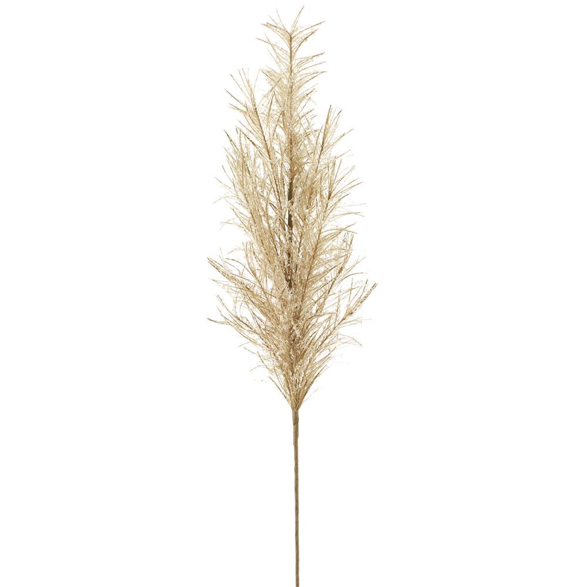 Snowed Pampas Grass Spray, 34.5″ (Beige)