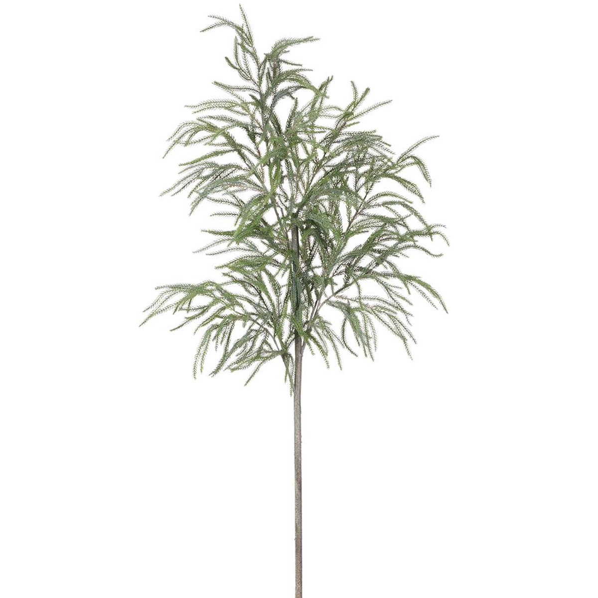 Spruce Tree Branch, 68″ (Green)