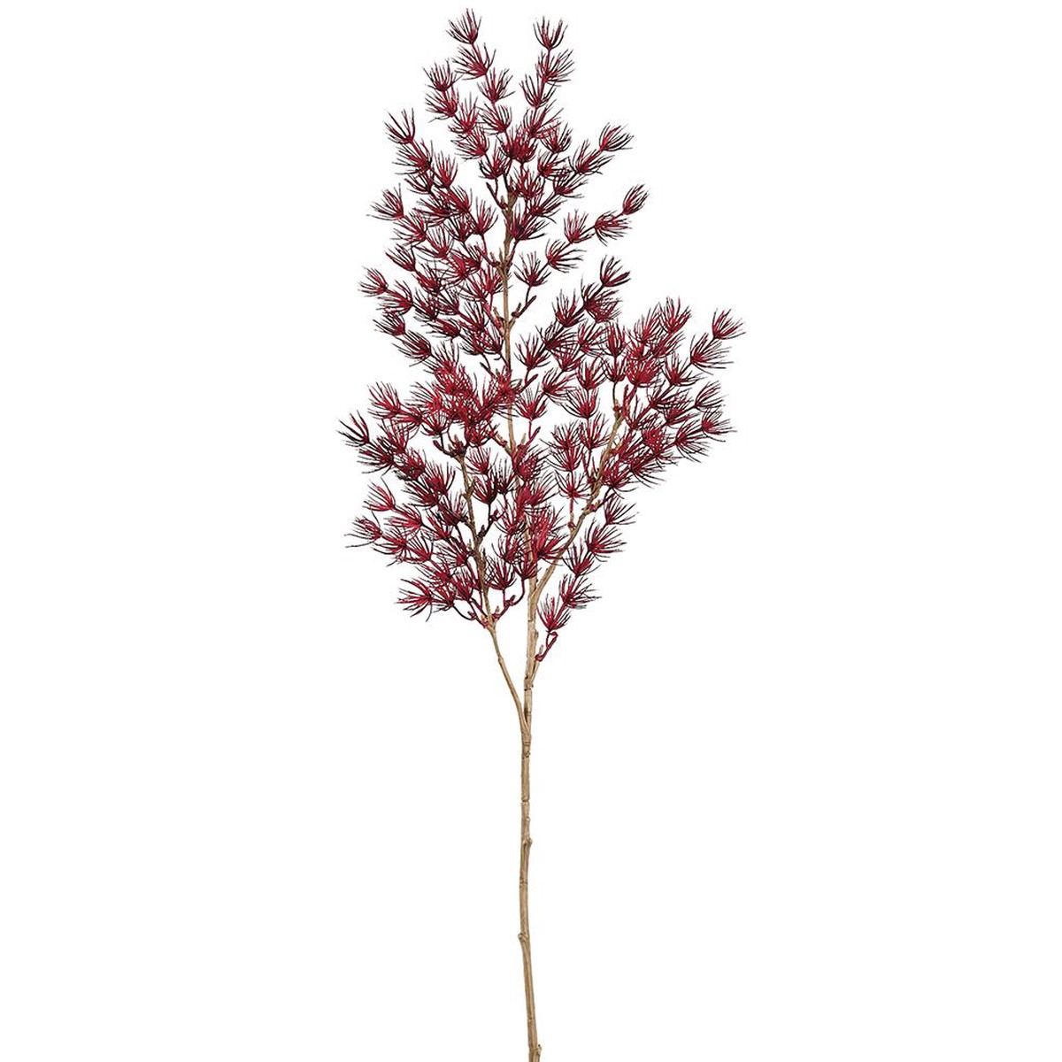 Umbrella Asparagus Spray, 29″ (Burgundy)