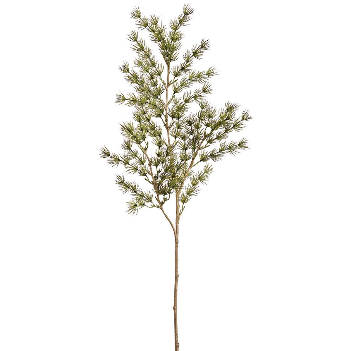 Umbrella Asparagus Spray, 29″ (Green)
