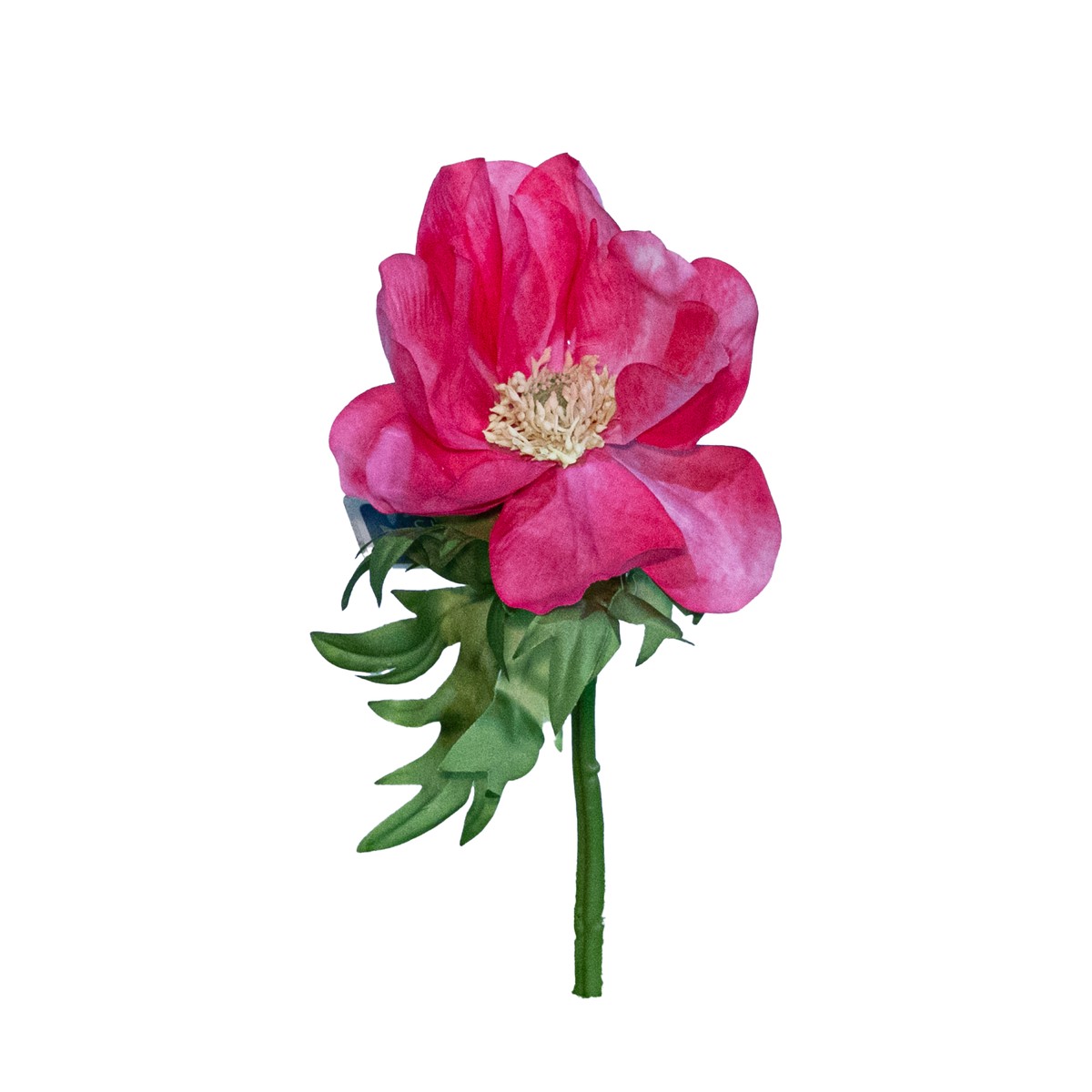 Anemone Spray, Dark Pink, 17.5″