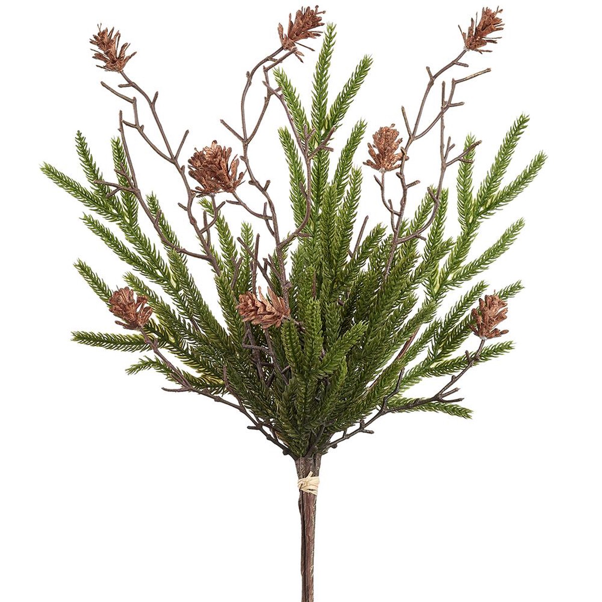 Spruce Bundle x 3 w/ Cone, 20.5″