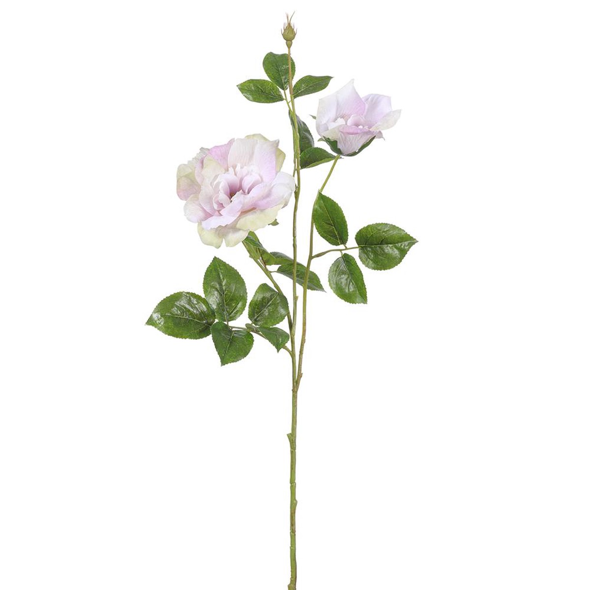Wild Rose Spray (Cream Amethyst), 32.2″