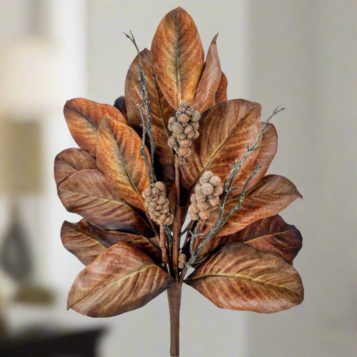 24″ Harvest Magnolia Bush