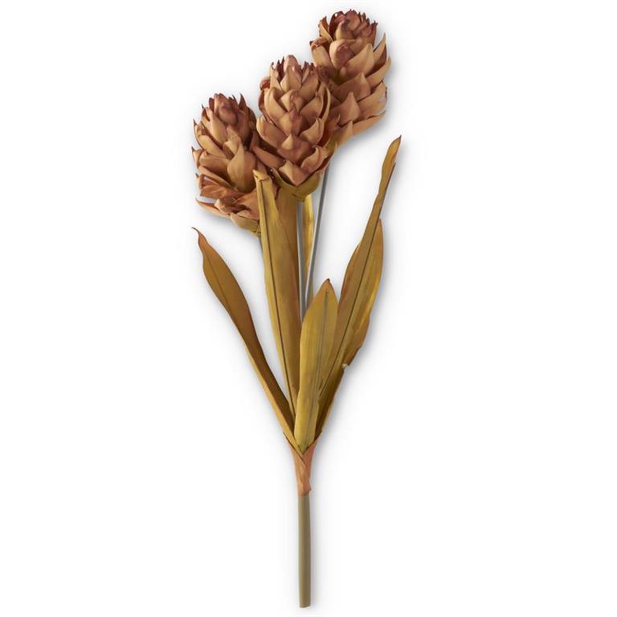 28″ Brown Ginger Triple Flower Stem