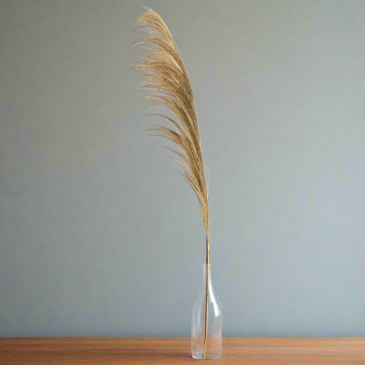 45″ Dried Natural Pampas Stem