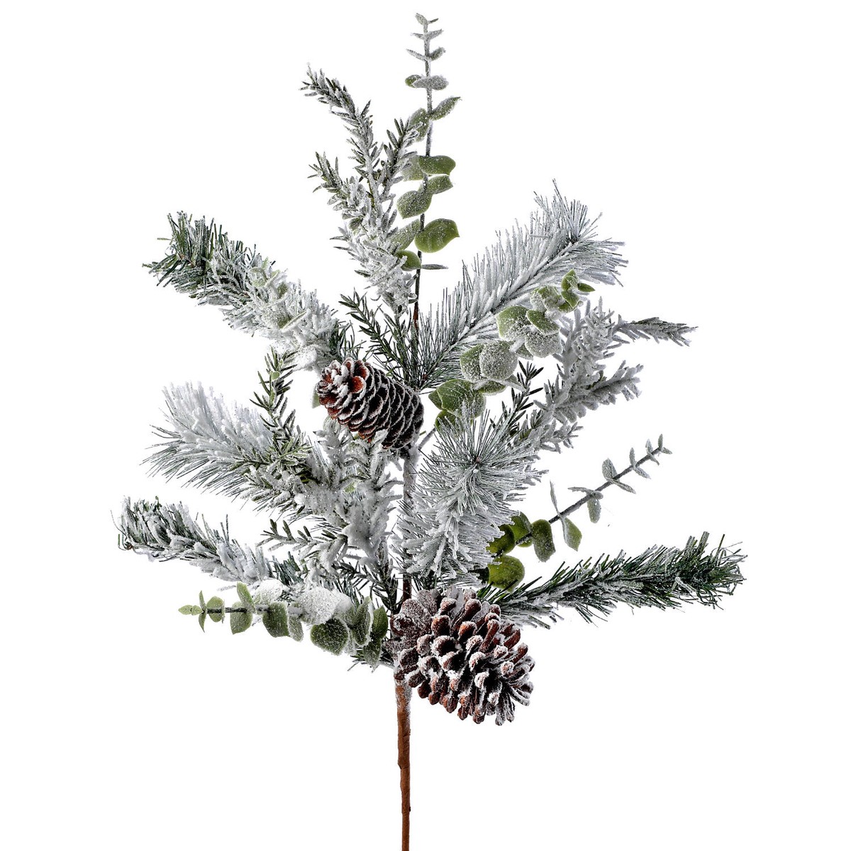 Snowed Pine, Eucalyptus And Cone Spray, 31″