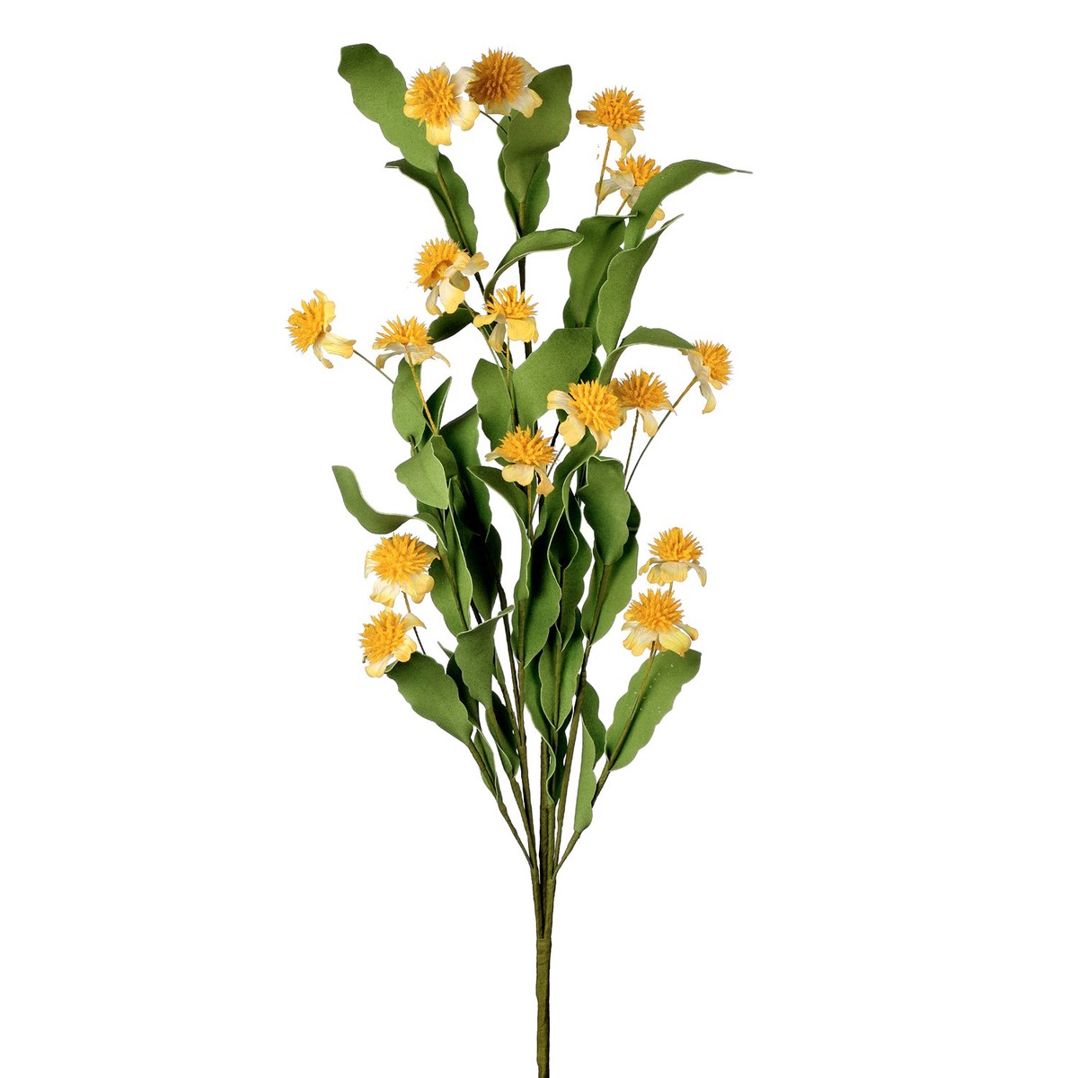 Wild Buttercup Spray 35″