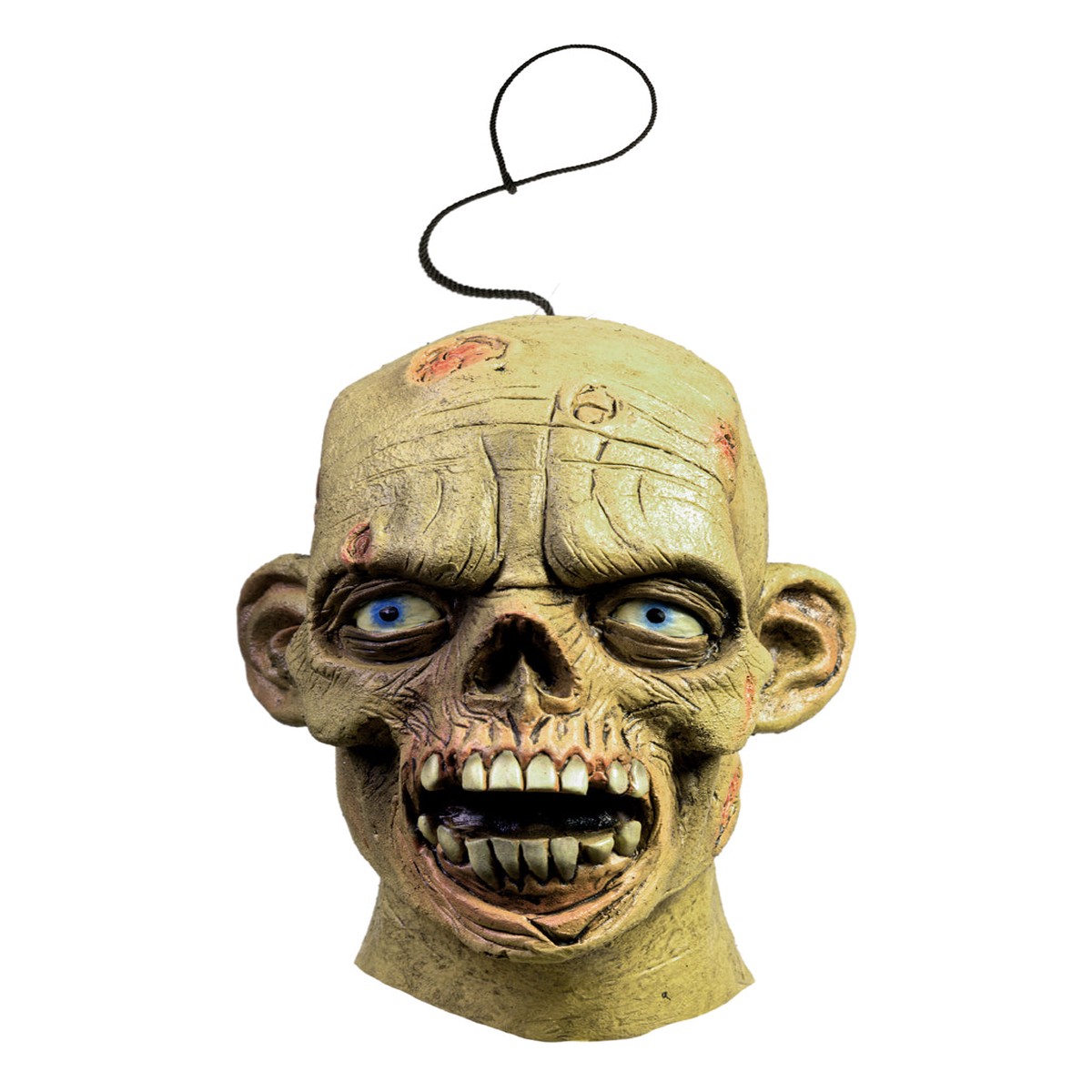 Zombie Schdel als Schrumpfkopf Hngefigur 15cm