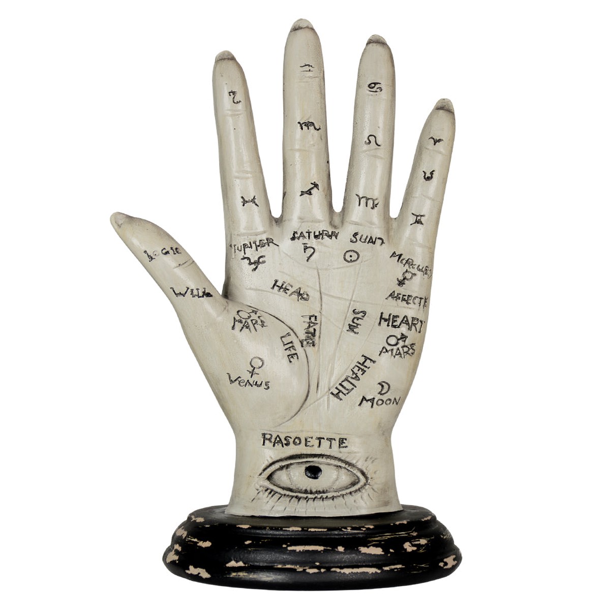 Palmistry Wahrsage Hand mit Vintage Sockel 20cm