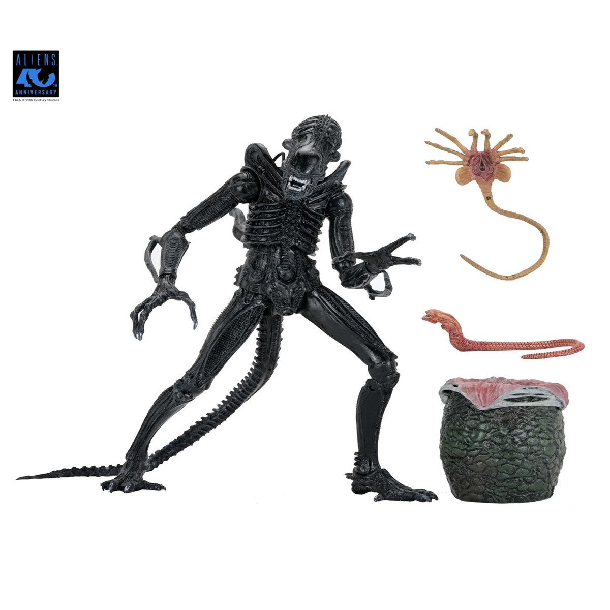 NECA Aliens 40th Anniversary Warrior Xenomorph Ultimate Action Figur 23cm