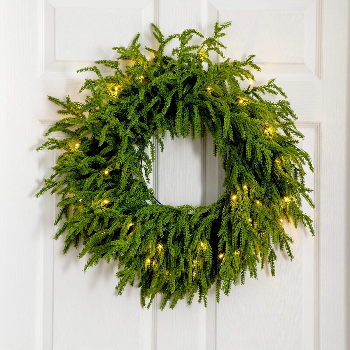 20" Pre-Lit Artificial Real Touch Norfolk Island Pine Wreath with 35 Warm White LED Lights and Natural Look