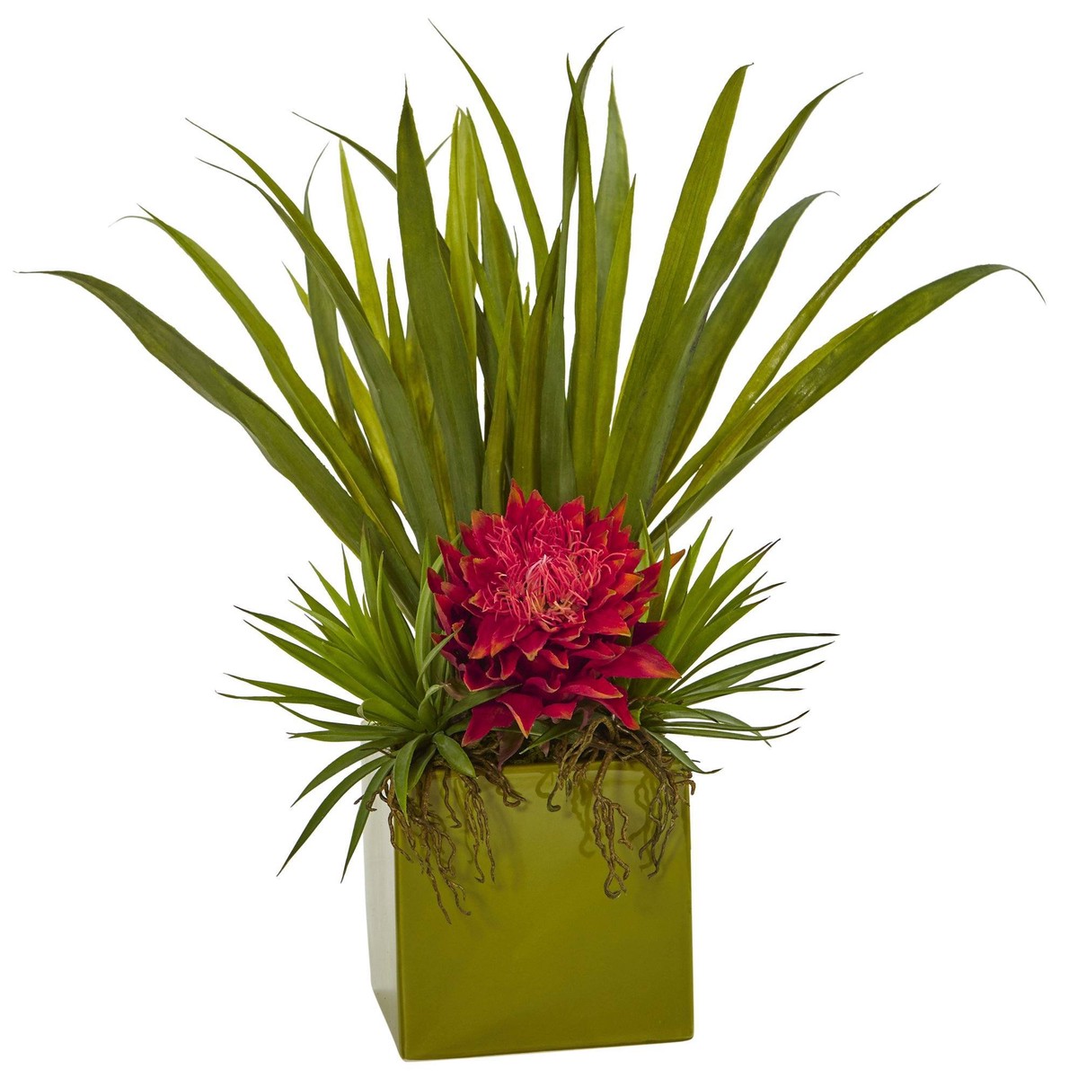 Tropical And Succulent Arrangement - Orchid