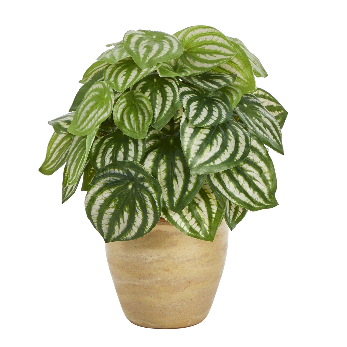 11 Watermelon Peperomia Artificial Plant in Ceramic Planter (Real Touch)