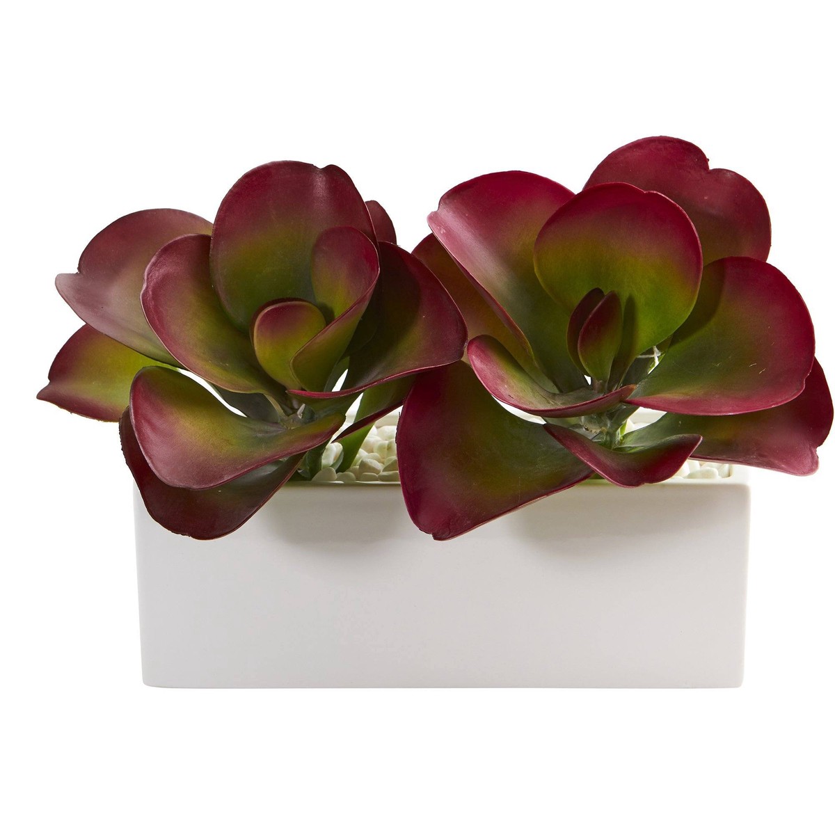 11 Red Accent Succulent Artificial Plant in White Planter