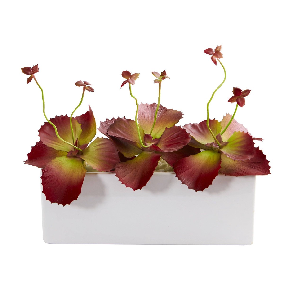 11 Succulent Artificial Plant in White Planter