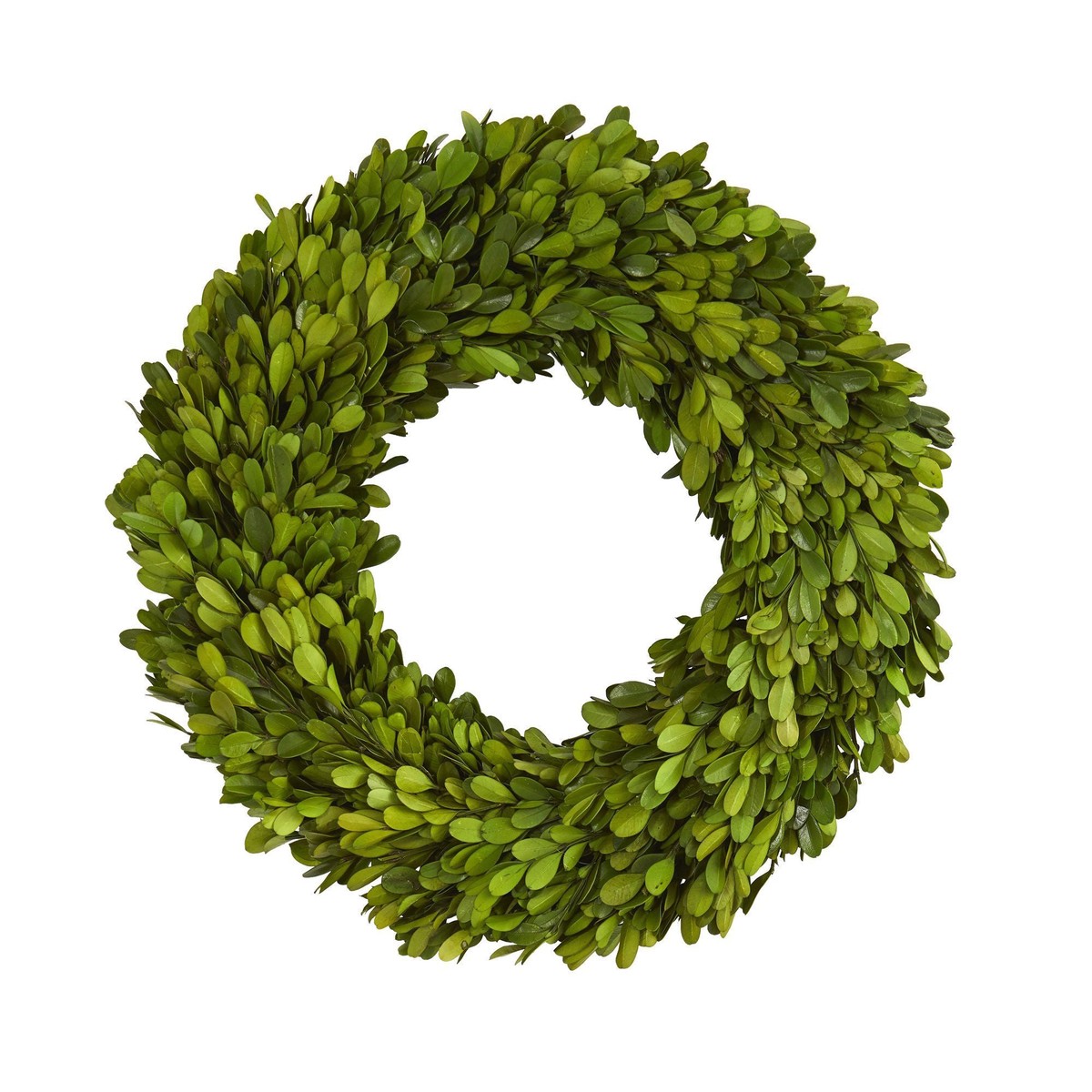 14 Preserved Boxwood Wreath